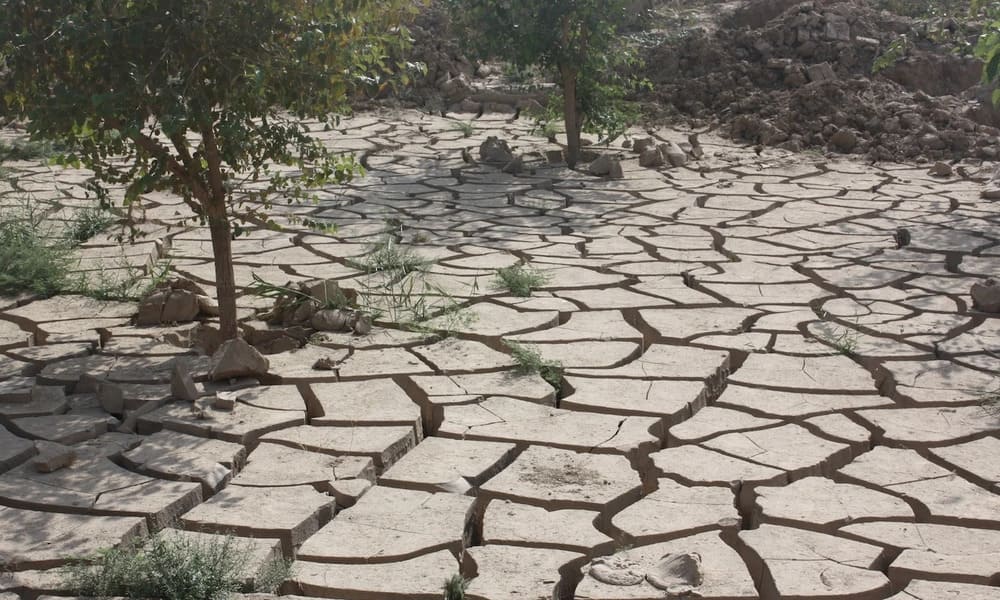 التغير المناخي والسياسة من يقود المعركة؟