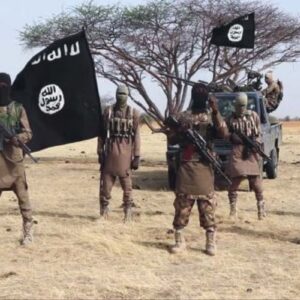 عناصر من تنظيمات متطرفة في إفريقيا